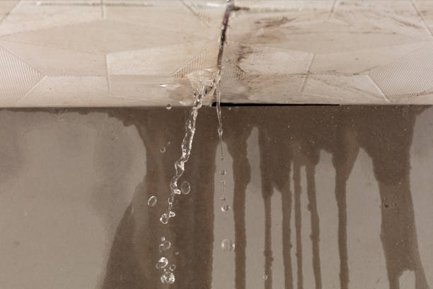 Professional Water Extraction technician working in Dryden, MI